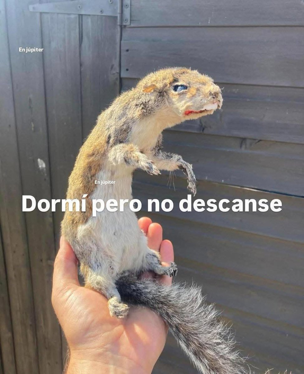 En Júpiter (@en_jupiter_) on Twitter photo 