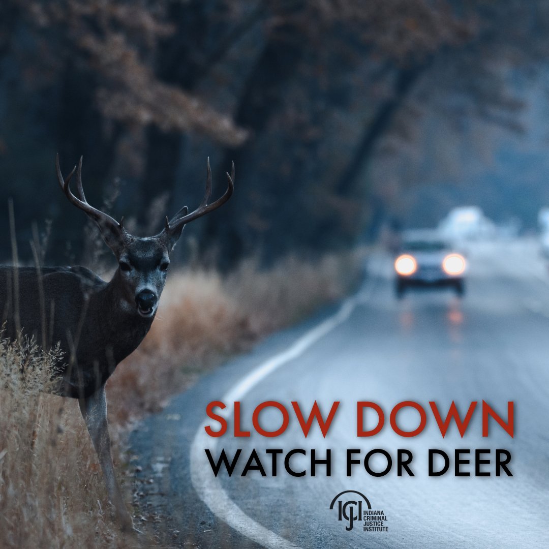 IndianaCJI's tweet image. Slow down and be vigilant for deer this season. Dusk and dawn are the highest risk for collisions.  
#FallDriving