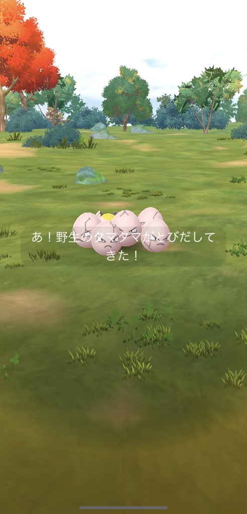 ちっちゃいたまたま