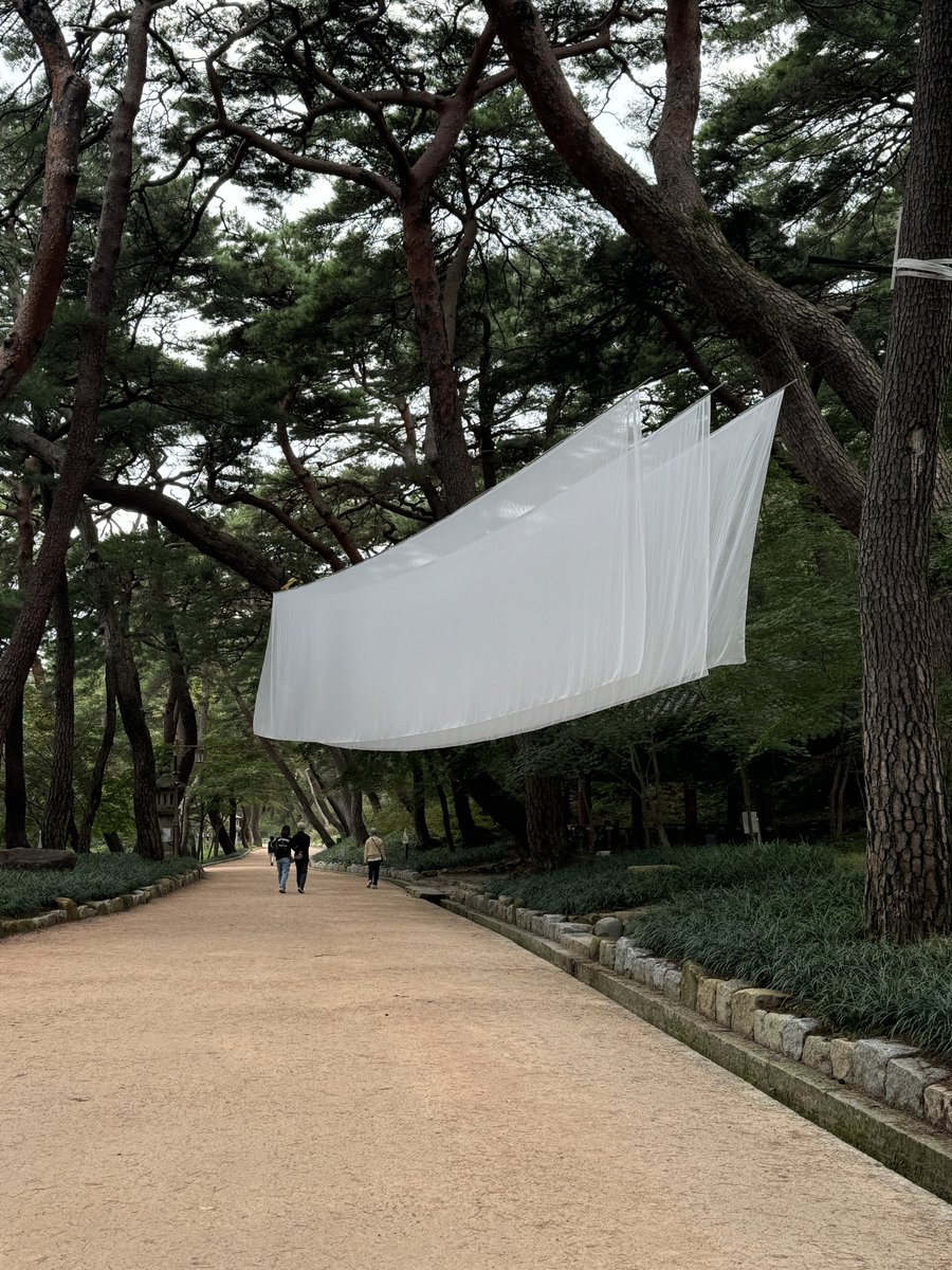 약국 tweet media