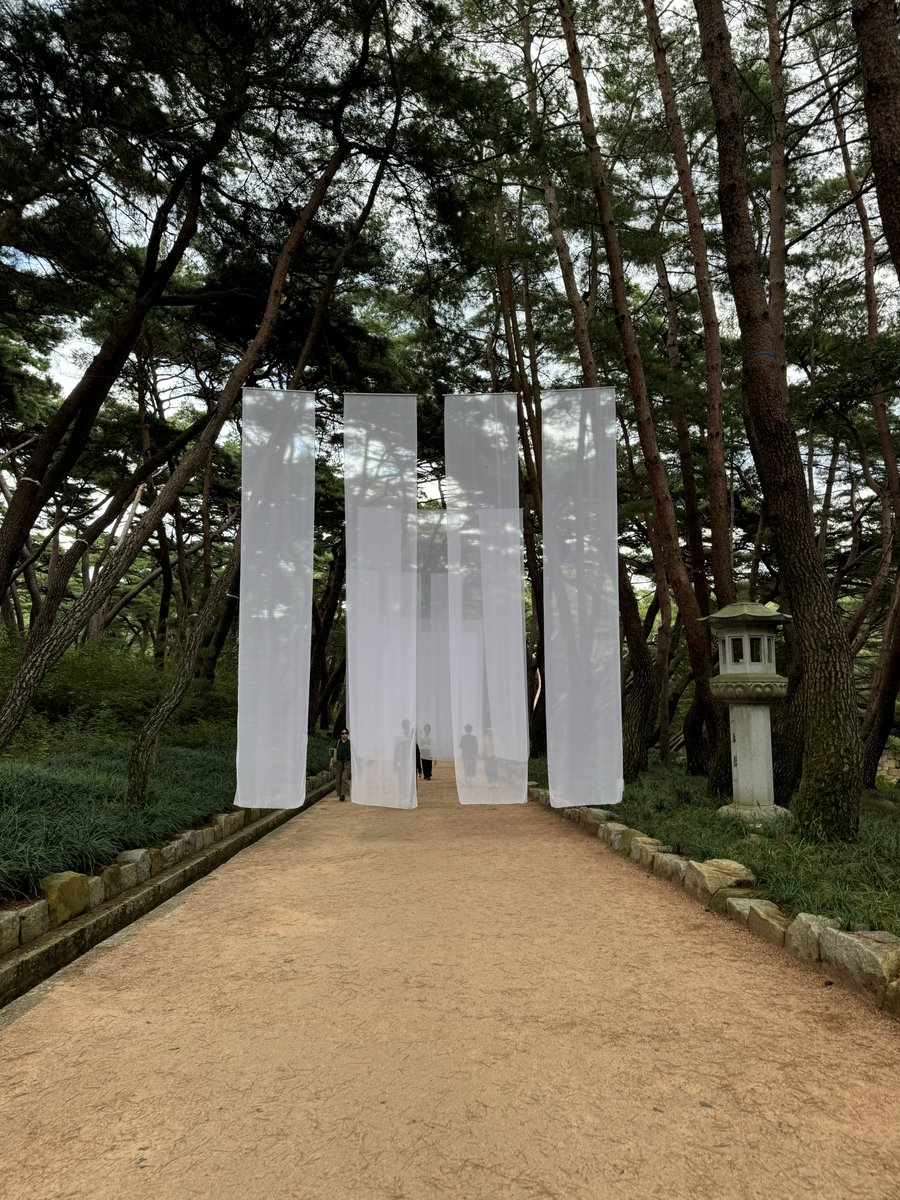 약국 tweet media