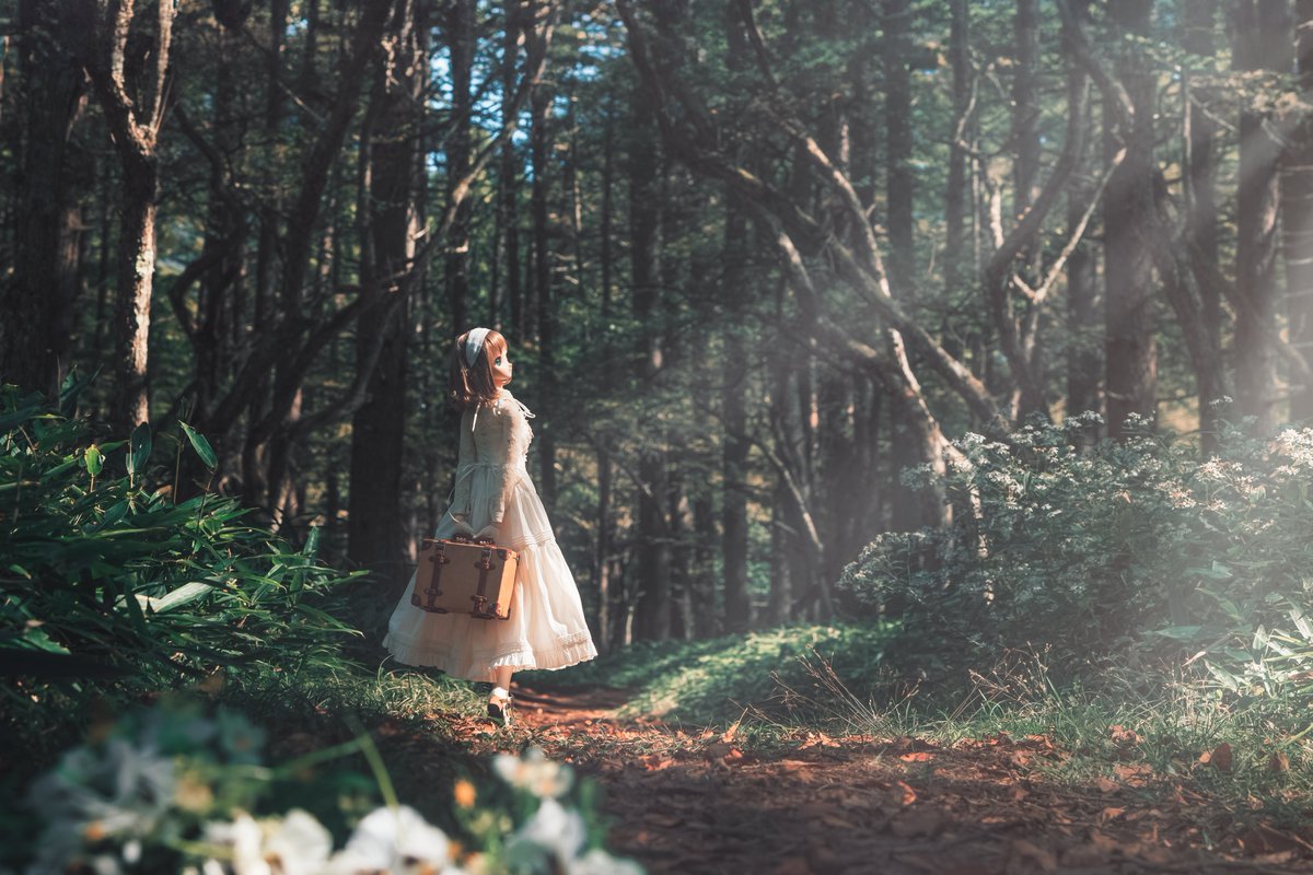 Lala✳︎Lullaby Poem (@stellarlala) / Posts / X