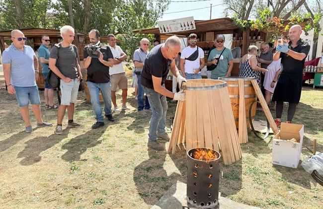 La Pequeña D.O. <a href="/VinosLeon/">Vinosleon</a>  celebra con su Fiesta de la Vendimia el final de una campaña que ya augura una alta calidad para sus vinos