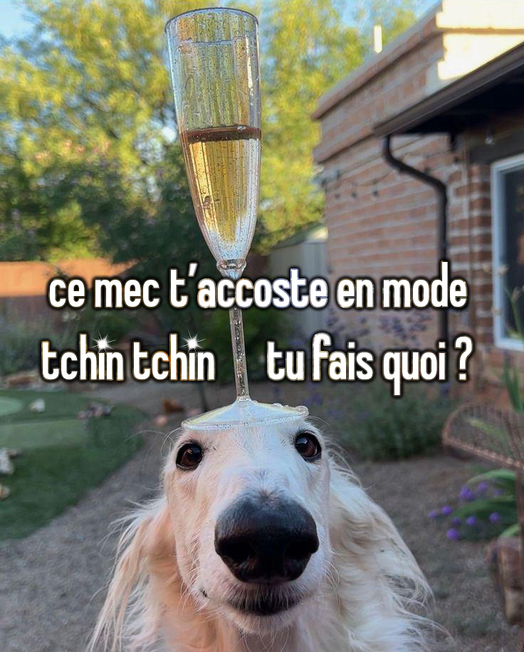 win0g's tweet image. 