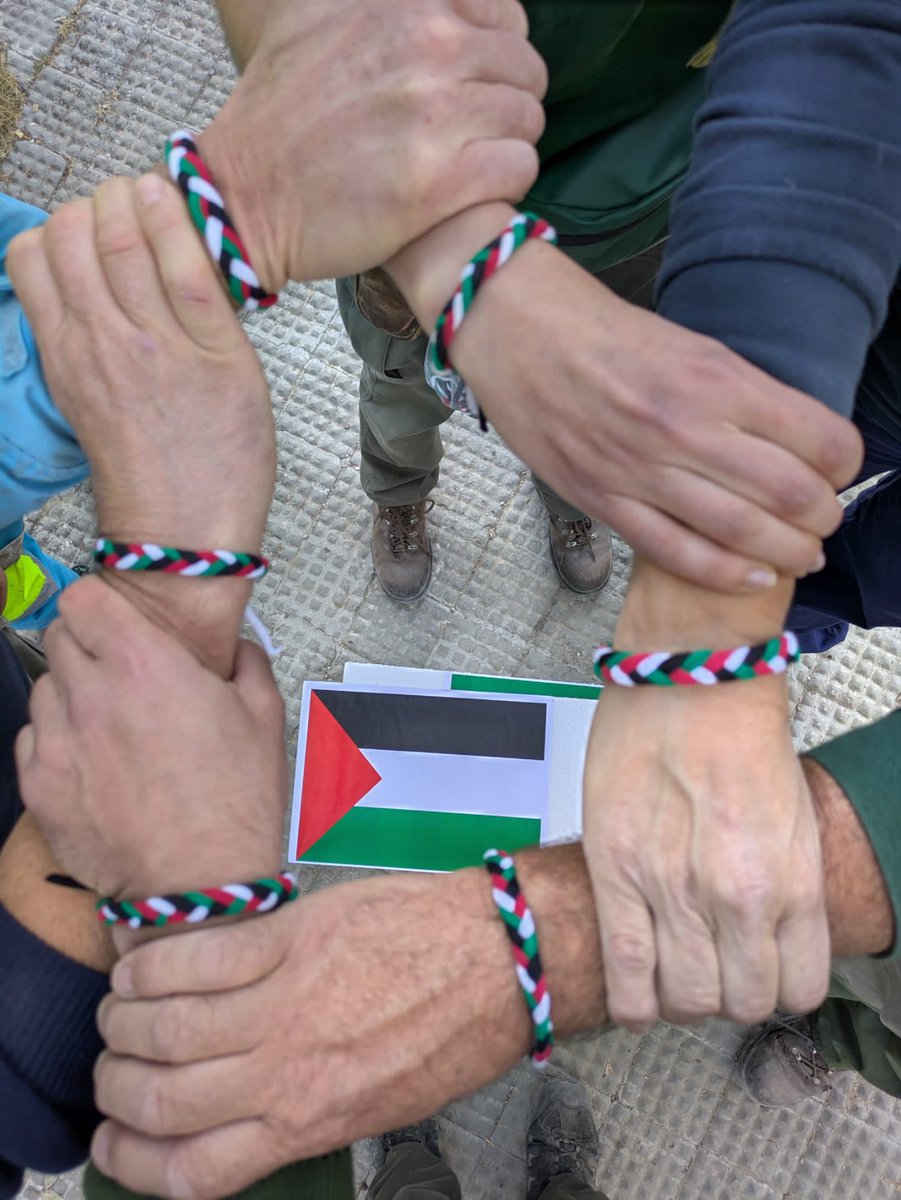 ccooaytomadrid's tweet photo. Solidaridad con el pueblo Palestino https://t.co/aH8tF8WRdq