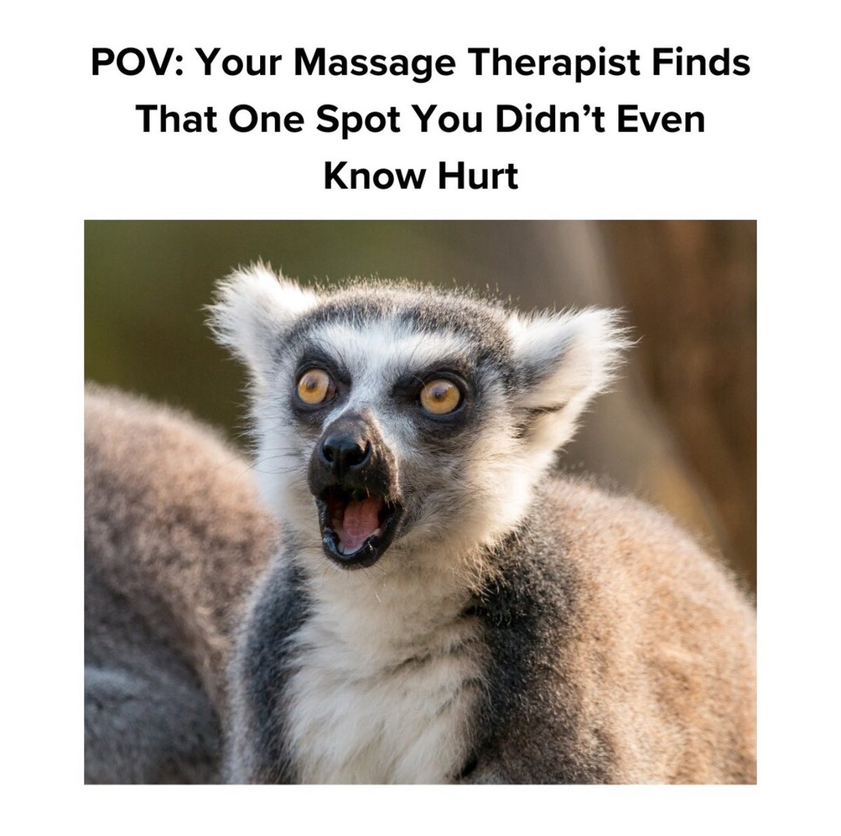 MASSAGE THERAPIST (@alice_masseuse) on Twitter photo Your massage therapist finds *that one spot* you didn't even know hurt... and suddenly you're questioning all your life choices ππββοΈ Your body keeps the score, massage helps reset it.
Be honest: has this ever happened to you? Your massage therapist finds *that one spot* you didn't even know hurt... and suddenly you're questioning all your life choices ππββοΈ Your body keeps the score, massage helps reset it.
Be honest: has this ever happened to you?