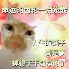 这个世道玩sm的那么多
怎么就没几个switch，玩别人和被玩我都想要，老天奖励我几个身材不错的switch吧

#SM #性癖