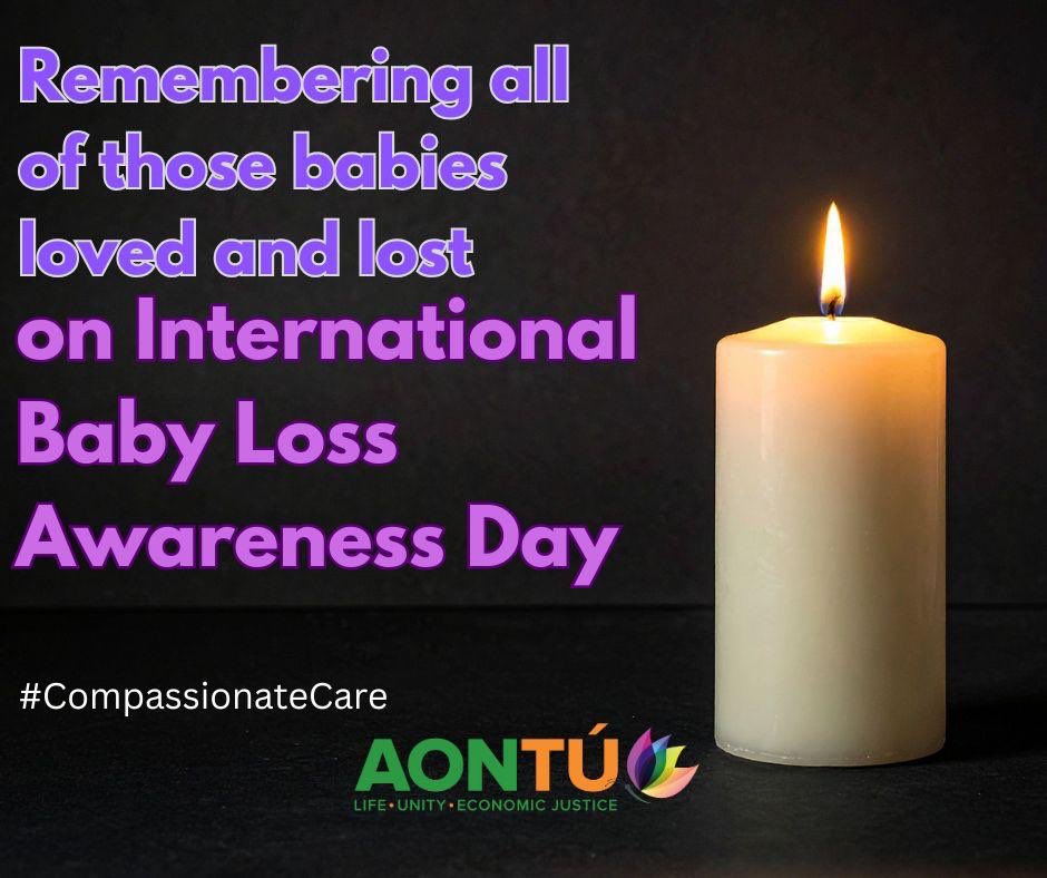 Aontú Dublin (@aontudublin) on Twitter photo 