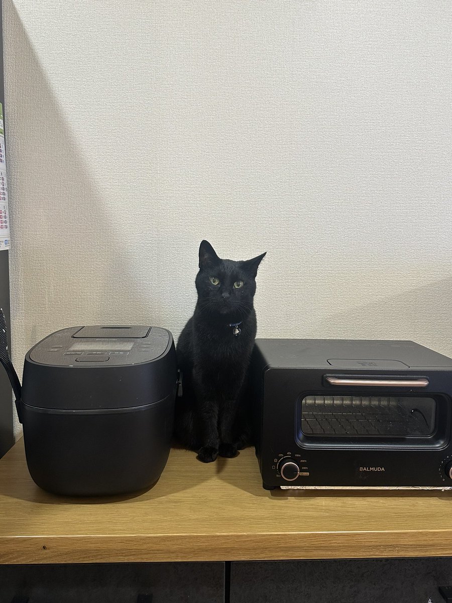 suzuari226's tweet photo. 我が家は黒物家電 https://t.co/NaAfQ4WnTW