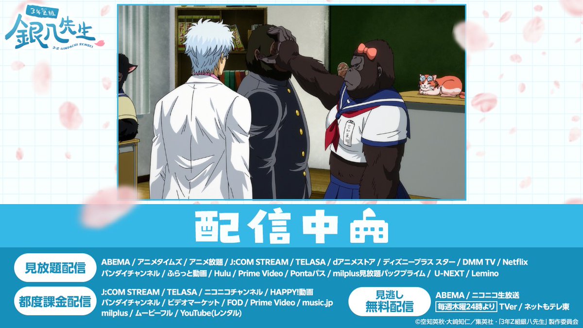 ⭐︎モンブランさん専用⭐︎ メンズケーシー[男性用](71-52-604) | 住商モンブラン株式会社