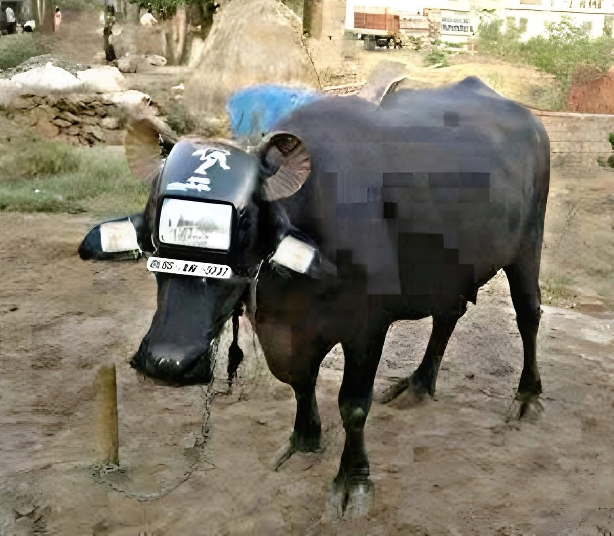 Tweet media one