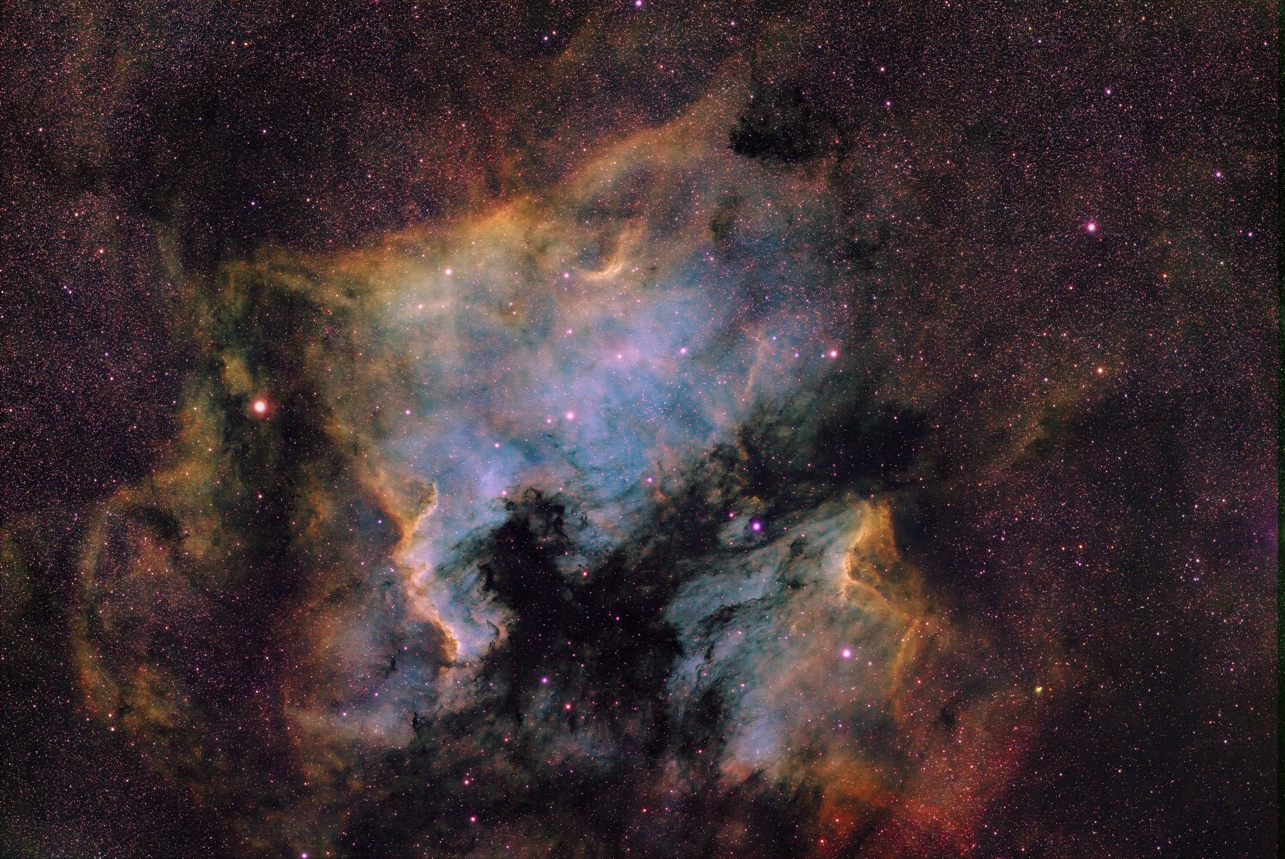 星影ページ 25日迄 よしべや自然博物館 on X