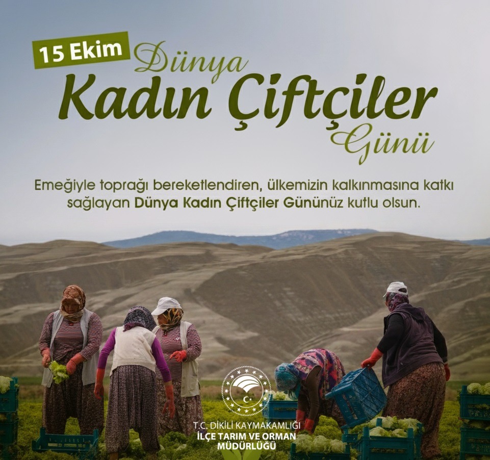 dikilitarim's tweet photo. https://t.co/c6xSYht8b5