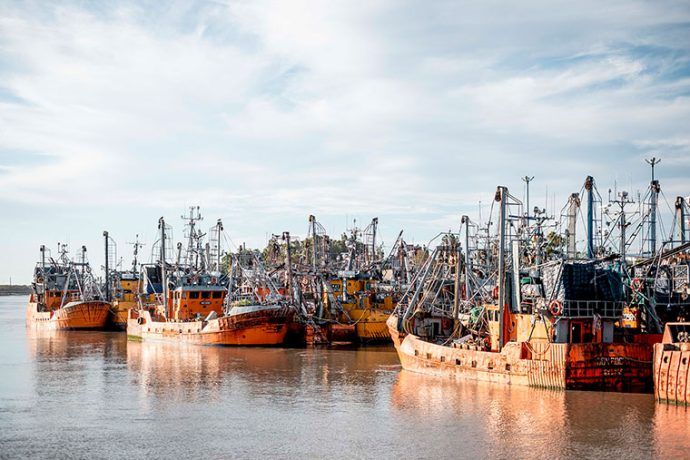 En Chubut no habrá prospección hasta que estén todas las paritarias cerradas | revistapuerto.com.ar/2025/10/en-chu…