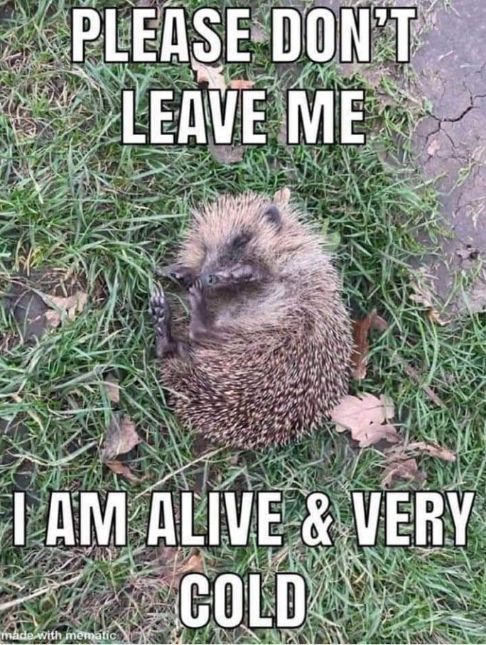 kath (@mrs_coyle) on Twitter photo 