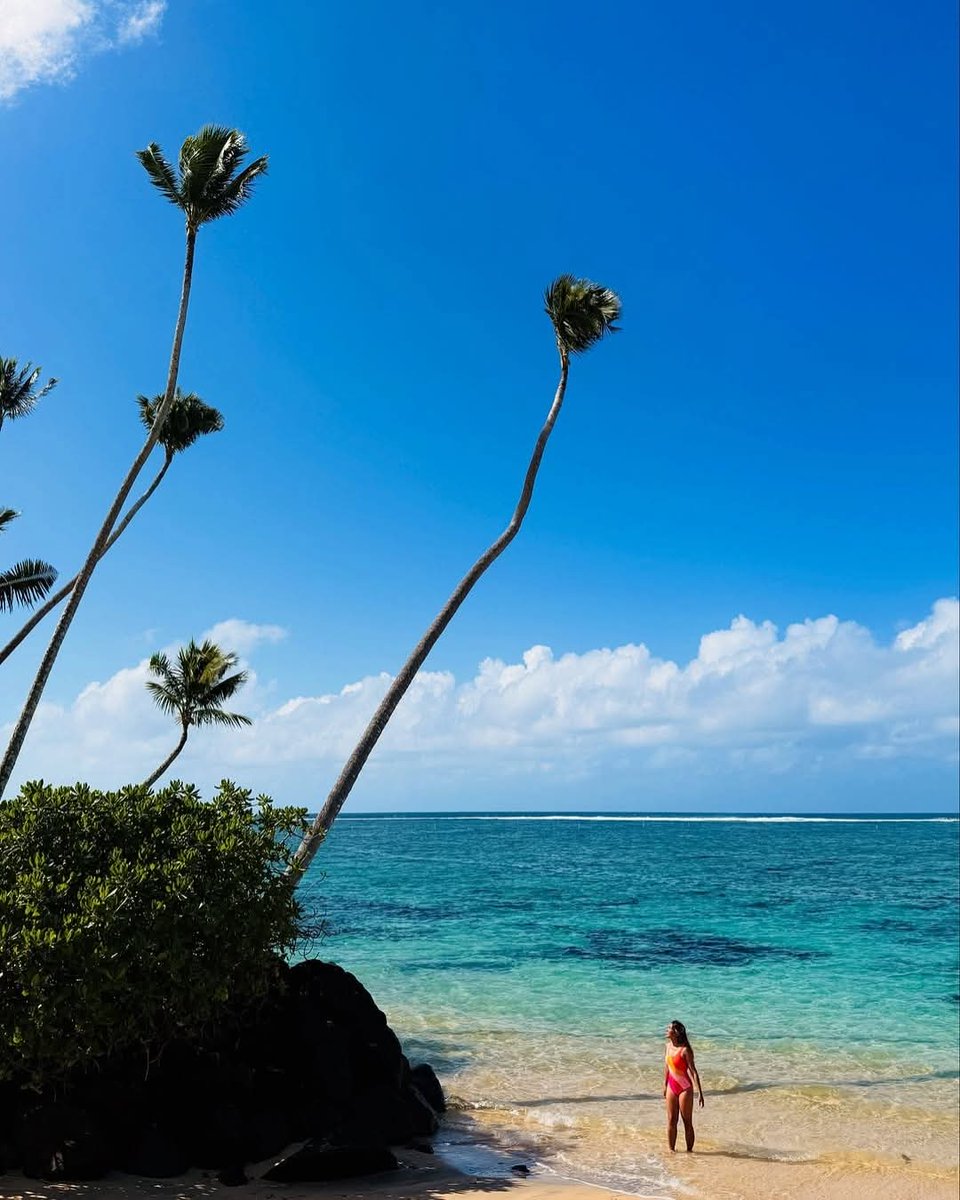 RepPlusUK's tweet image. Girls trip loading – Samoa edition. Tag a friend who’s always up for a getaway and start planning!

📸 @fayedyan (via IG)

#DiscoverBeautiful #BeautifulSamoa #Travel #PacificIsland #BucketListDestination #RepPlusClient