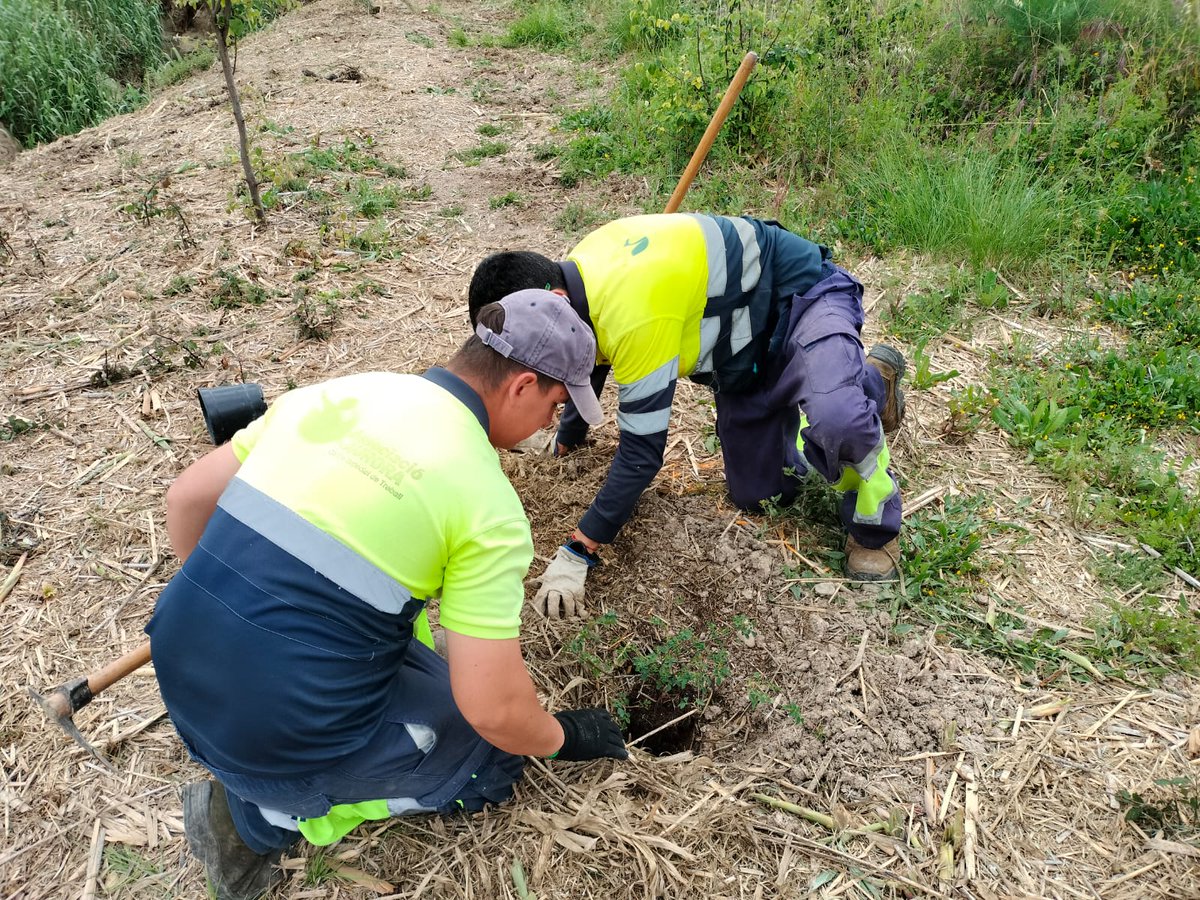 auroracet's tweet photo. El 2025 hem dut a terme actuacions de conservació i millora ambiental en el marc del projecte de “Restauració fluvial del torrent del Bogatell al municipi de #laSecuita” amb el suport de la @dipta_cat
👉https://t.co/nRcutxoL1E
#DiptaSuma https://t.co/jaX7Hc8lj7