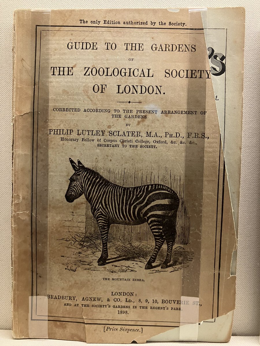 CCavafy's tweet image. A guide to the London Zoo (1898) in English with detailed information about the gardens and facilities of the Zoo. From Cavafy’s library. Cavafy Archive.