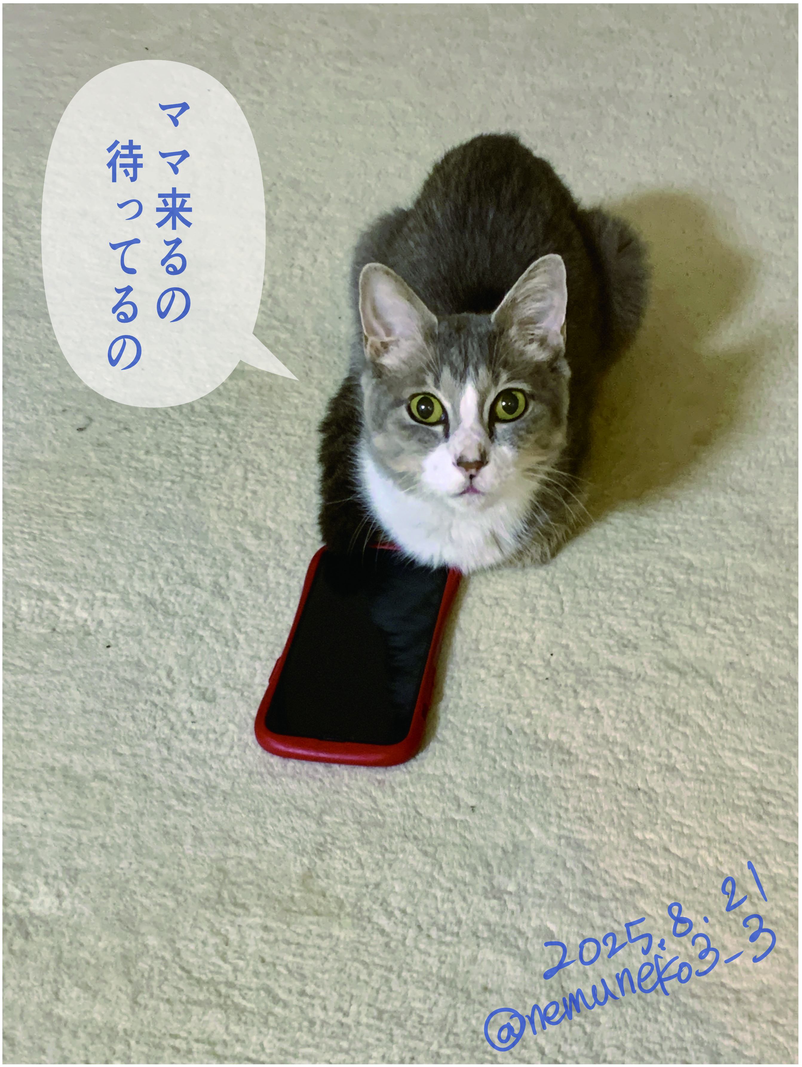 ねむねこページ ねむねこ (@nemuneko3_3) / X