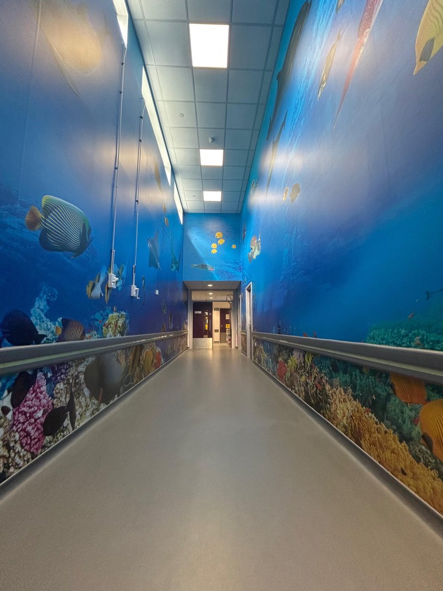 HD Wraps UK tweet media