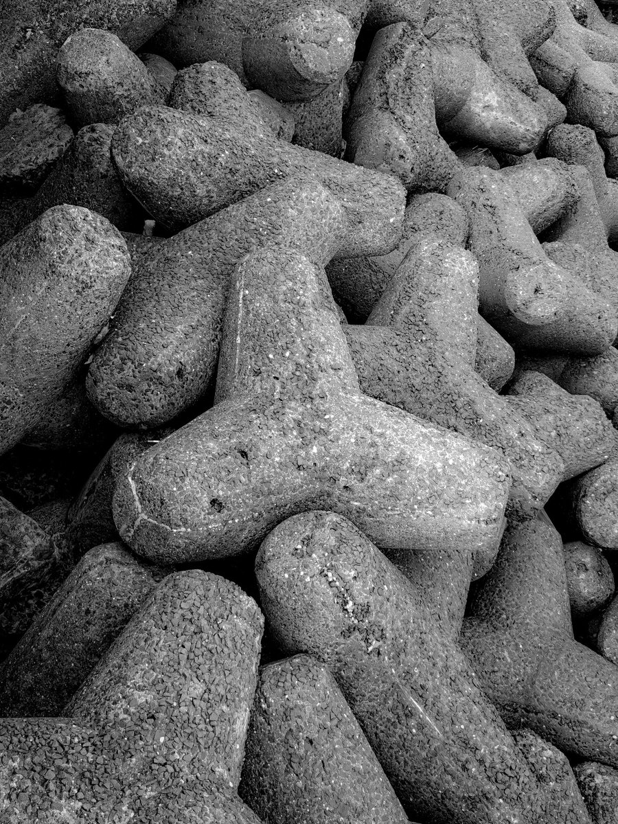 Together, they tell a story of beauty.

Shot on <a href="/oneplus/">OnePlus</a> 12 Powered by <a href="/Snapdragon/">Snapdragon</a> 

#ShotonOnePlus #ShotOnSnapdragon