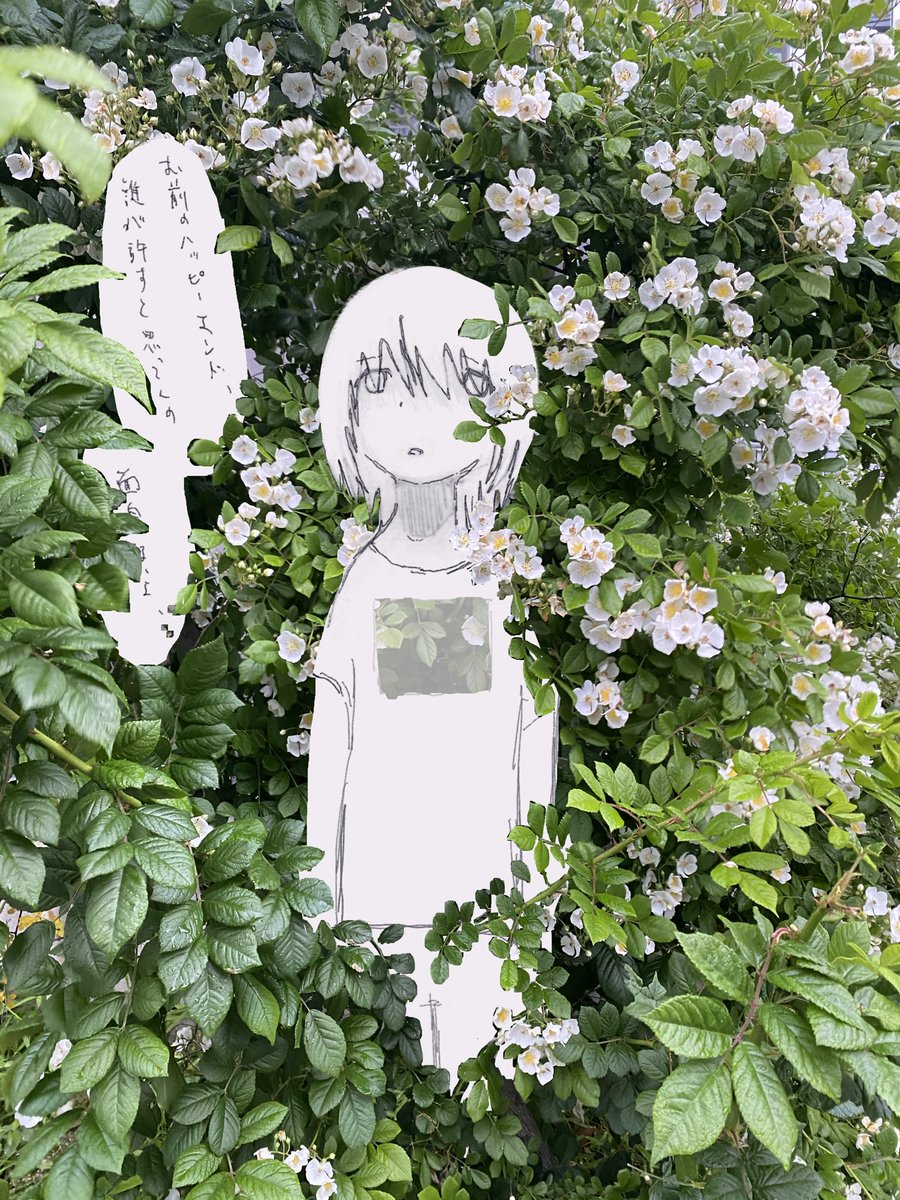 山田太郎 (@ayso_c) on Twitter photo 