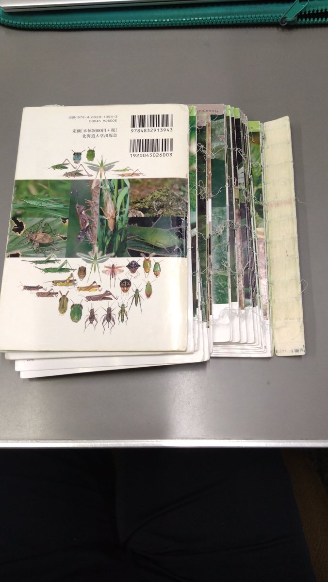 僕のバイブル「バッタ・コオロギ・キリギリス生態図鑑」
ついにバラバラになってしまった。
新しいのを買おうかな〜