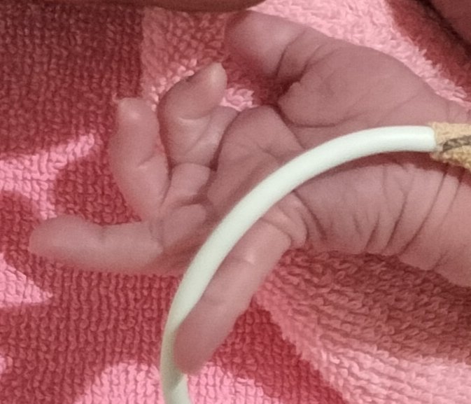 ４児の父になりました
もうチェンジアップの握りしてる