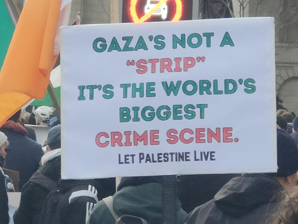 🚨🇵🇸 Do you understand?