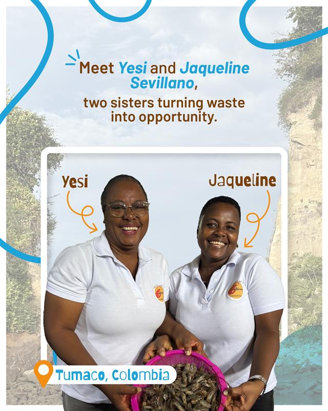 BiovIntCIAT_eng's tweet image. On #RuralWomen’s Day, we celebrate women-led innovation from Colombia’s Pacific coast! 🌊✨
Jaqueline & Yesi turn 🦐 shrimp shells into Camharina, a sustainable flour that creates 💰 income, 🌍 protects the planet & 🍽️ adds unique flavors.
📖 Full story: allbiociat.org/4nSKa9f