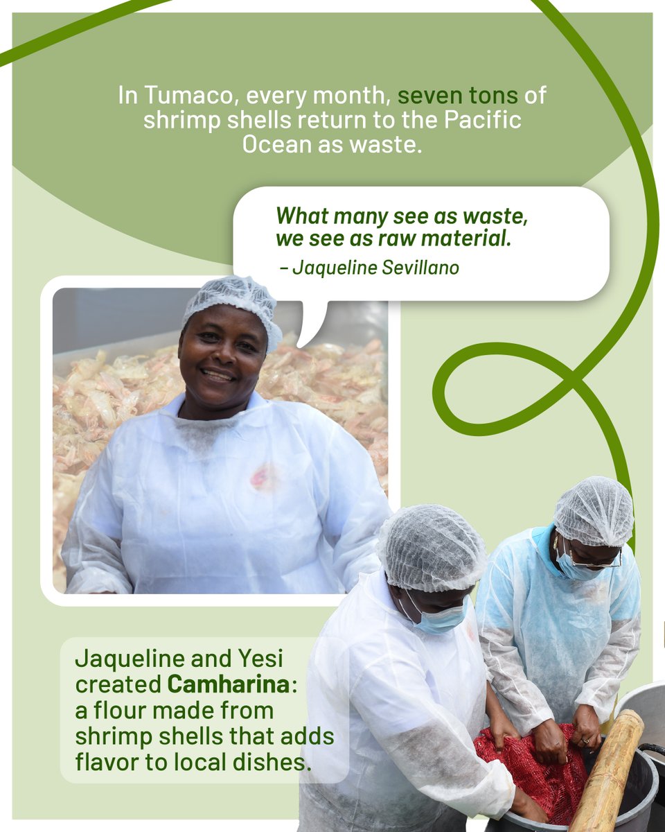 BiovIntCIAT_eng's tweet image. On #RuralWomen’s Day, we celebrate women-led innovation from Colombia’s Pacific coast! 🌊✨
Jaqueline & Yesi turn 🦐 shrimp shells into Camharina, a sustainable flour that creates 💰 income, 🌍 protects the planet & 🍽️ adds unique flavors.
📖 Full story: allbiociat.org/4nSKa9f