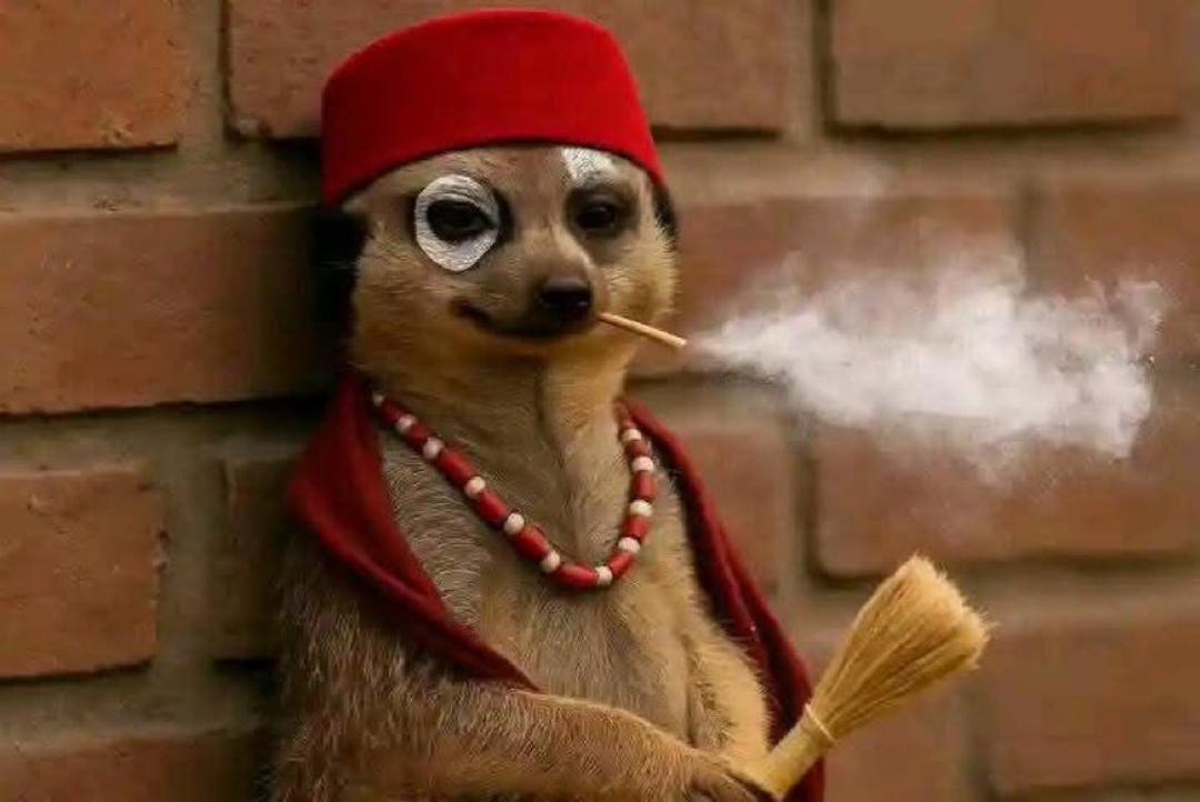 BZOO (@mrbzoo169) on Twitter photo Hii ni pesa💸💸
DB BET
Jisajiri LINK 👇
db-bet.co/44QHeSa
Promocode jaza👉  ZAWADI
Tumia promocode ZAWADI 
Kupata ofa zaidi katika bashiri zako🎁
CODE👉GATUH
STAKE 👉💸200K
Cash bonus 💸💸
Whatssup channel👇whatsapp.com/channel/0029Vb… Hii ni pesa💸💸
DB BET
Jisajiri LINK 👇
db-bet.co/44QHeSa
Promocode jaza👉  ZAWADI
Tumia promocode ZAWADI 
Kupata ofa zaidi katika bashiri zako🎁
CODE👉GATUH
STAKE 👉💸200K
Cash bonus 💸💸
Whatssup channel👇whatsapp.com/channel/0029Vb…