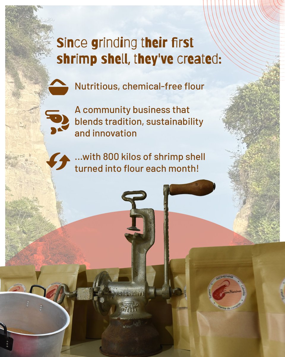 BiovIntCIAT_eng's tweet image. On #RuralWomen’s Day, we celebrate women-led innovation from Colombia’s Pacific coast! 🌊✨
Jaqueline & Yesi turn 🦐 shrimp shells into Camharina, a sustainable flour that creates 💰 income, 🌍 protects the planet & 🍽️ adds unique flavors.
📖 Full story: allbiociat.org/4nSKa9f