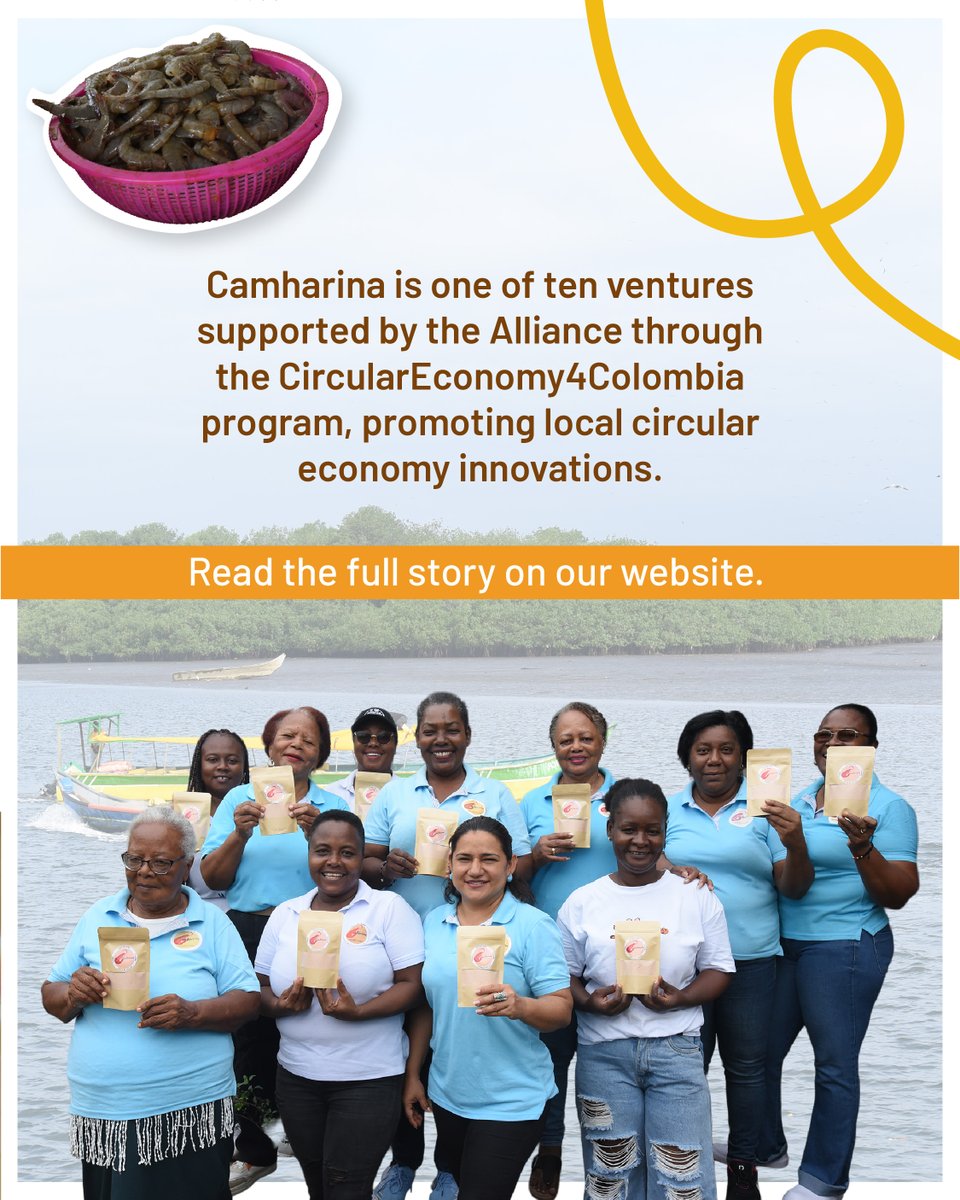 BiovIntCIAT_eng's tweet image. On #RuralWomen’s Day, we celebrate women-led innovation from Colombia’s Pacific coast! 🌊✨
Jaqueline & Yesi turn 🦐 shrimp shells into Camharina, a sustainable flour that creates 💰 income, 🌍 protects the planet & 🍽️ adds unique flavors.
📖 Full story: allbiociat.org/4nSKa9f
