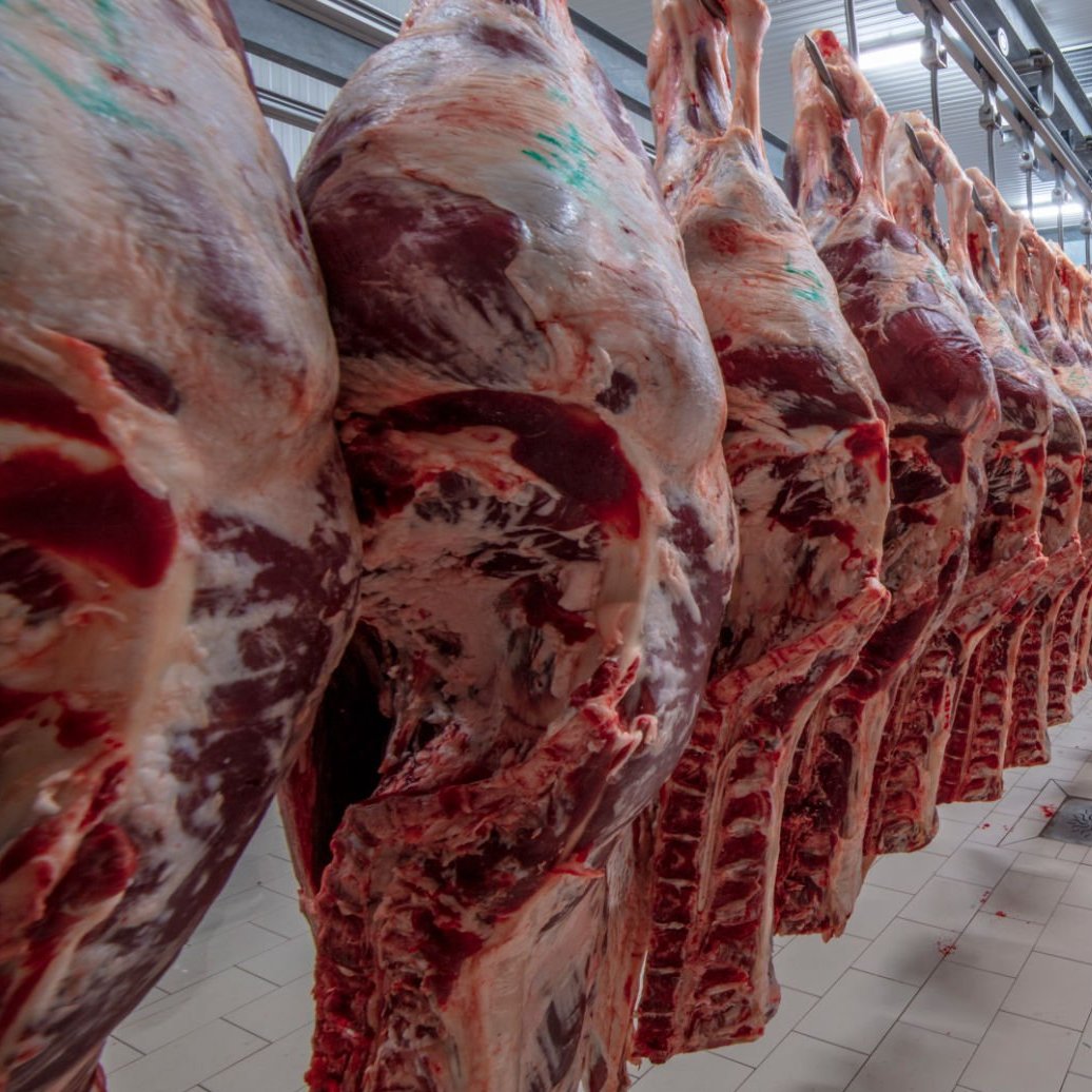 Zambia Daily Mail tweet media