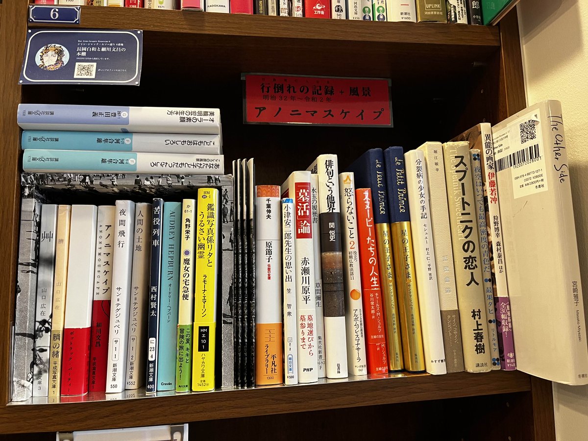 アノニマスケイプこんにちは二十世紀　細川文昌 アノニマスケイプ こんにちは二十世紀 Anonymous Scapes: Hello, The