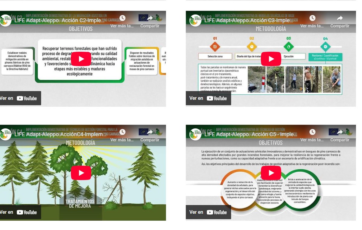 💻 💁🏻‍♀️ En nuestra web puedes encontrar todos los vídeos creados para dar a conocer el proyecto #LIFE #adaptaleppo y sus resultados sobre #adaptación #pinocarrasco #CambioClimático #GestiónForestal 🌄

⏩ adaptaleppo.eu/multimedia-2/#…