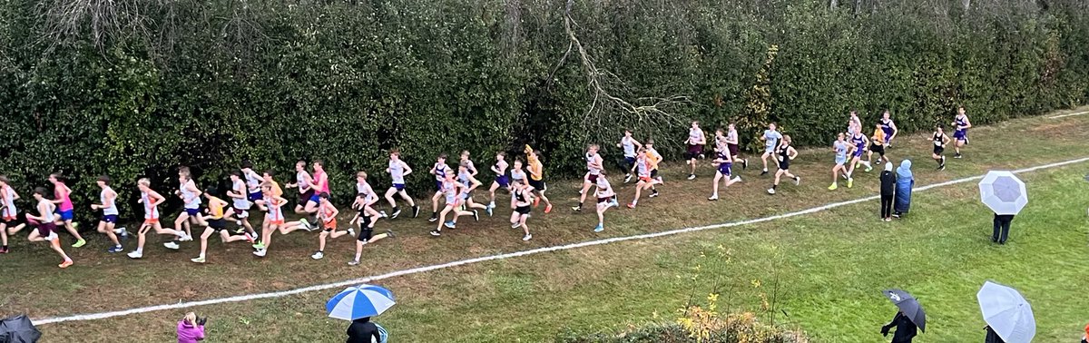 KM Activities tweet media