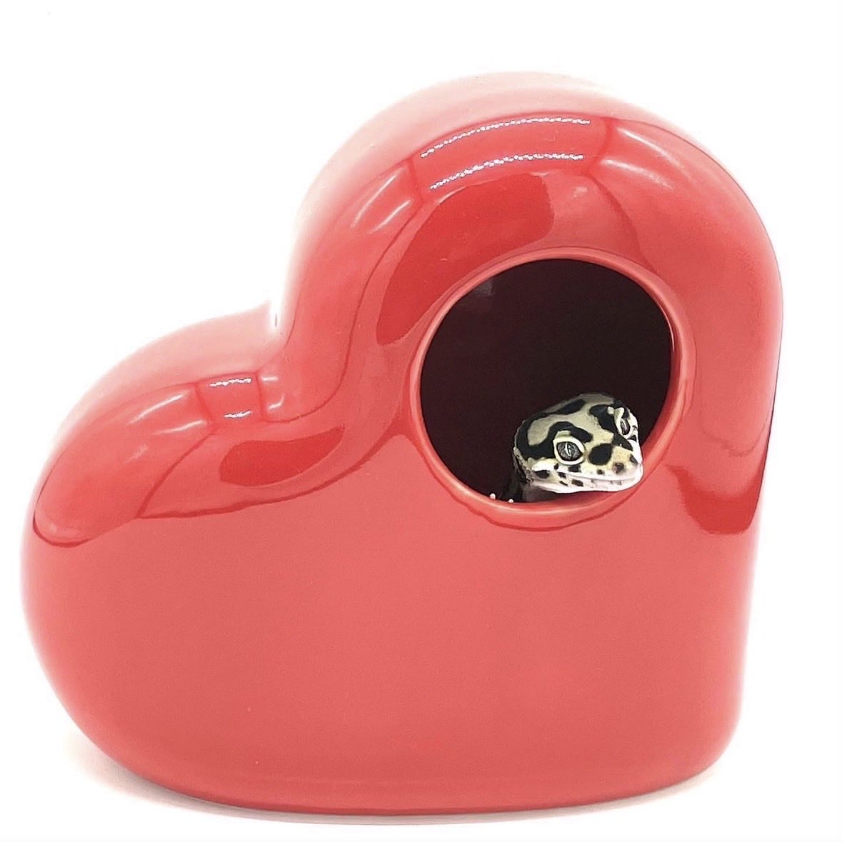 海無し県の小さな繁殖場 tweet media