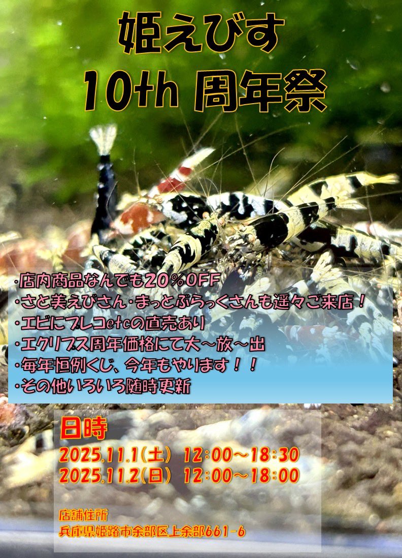 アメブロを投稿しました。
『姫えびす　10周年祭　開催予告～！！』
お待たせしました〜❗️
沢山のご来店お待ちしております。
詳細は随時更新していきます🙇
#アメブロ 
 ameblo.jp/mitsumitsu-ebi…