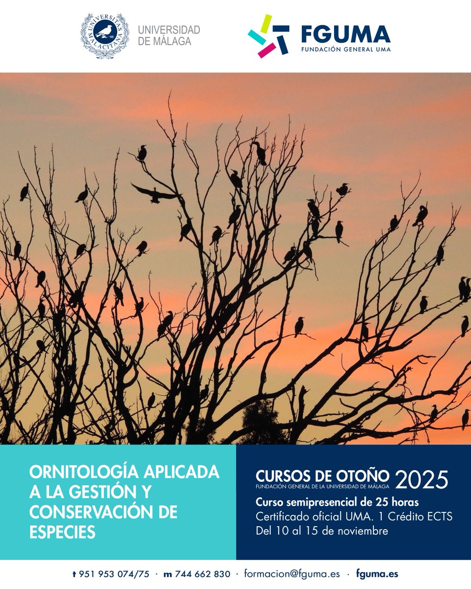 En este curso #otoñoFGUMA se pretende acercar las aves al alumnado, ya que estas participan en importantes funciones de los ecosistemas y son usadas como bioindicadores de calidad ambiental. Curso semipresencial, del 10 al 15 de noviembre. 1crédito ECTS fguma.es/course/ornitol…