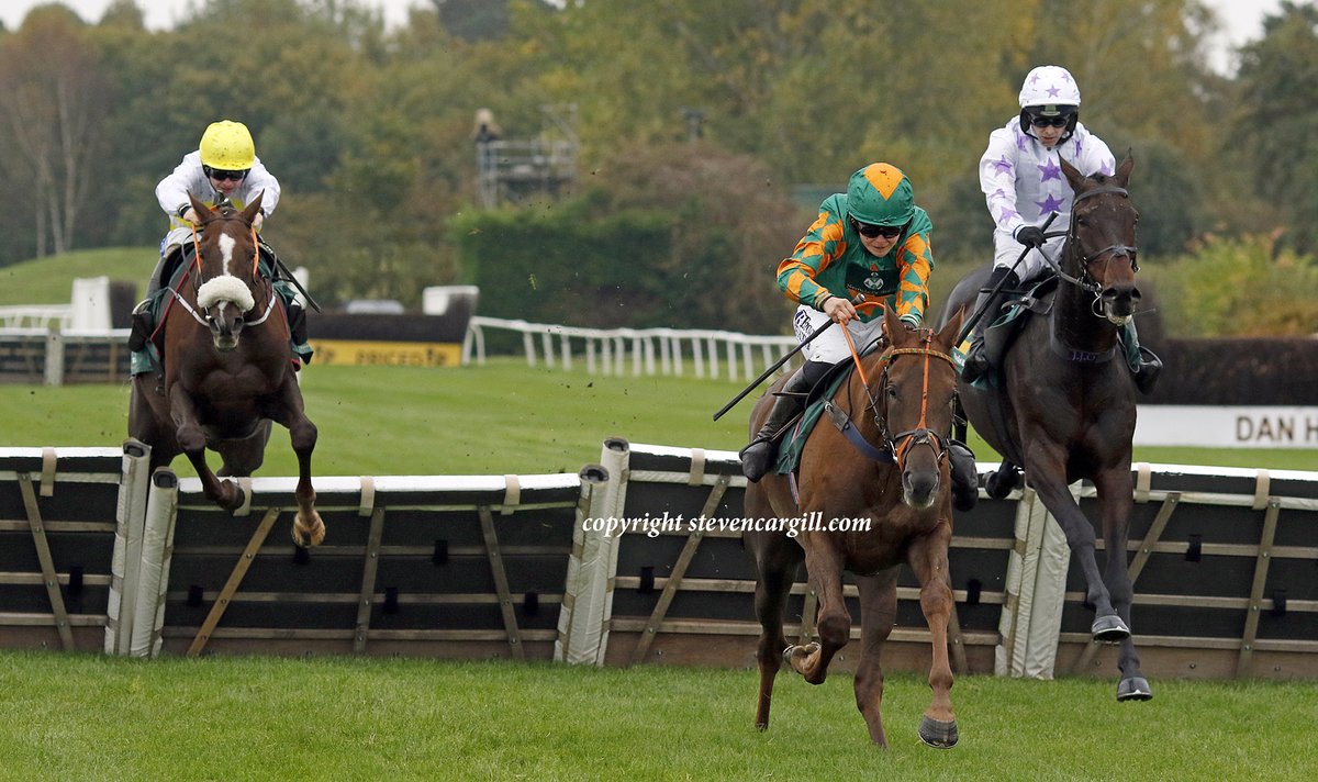 Steven Cargill (@steven_cargill) on Twitter photo Now 2/2, 4yo g FRESHERS WEEK <a href="/pinch1234/">Lilly pinchin</a> wins 21f novices hurdle <a href="/MarketRasenRace/">Market Rasen Racecourse</a> yesterday for <a href="/coolmorestud/">Coolmore</a> Crystal Ocean <a href="/CharlieLongsdon/">Charlie Longsdon</a> Now 2/2, 4yo g FRESHERS WEEK <a href="/pinch1234/">Lilly pinchin</a> wins 21f novices hurdle <a href="/MarketRasenRace/">Market Rasen Racecourse</a> yesterday for <a href="/coolmorestud/">Coolmore</a> Crystal Ocean <a href="/CharlieLongsdon/">Charlie Longsdon</a>