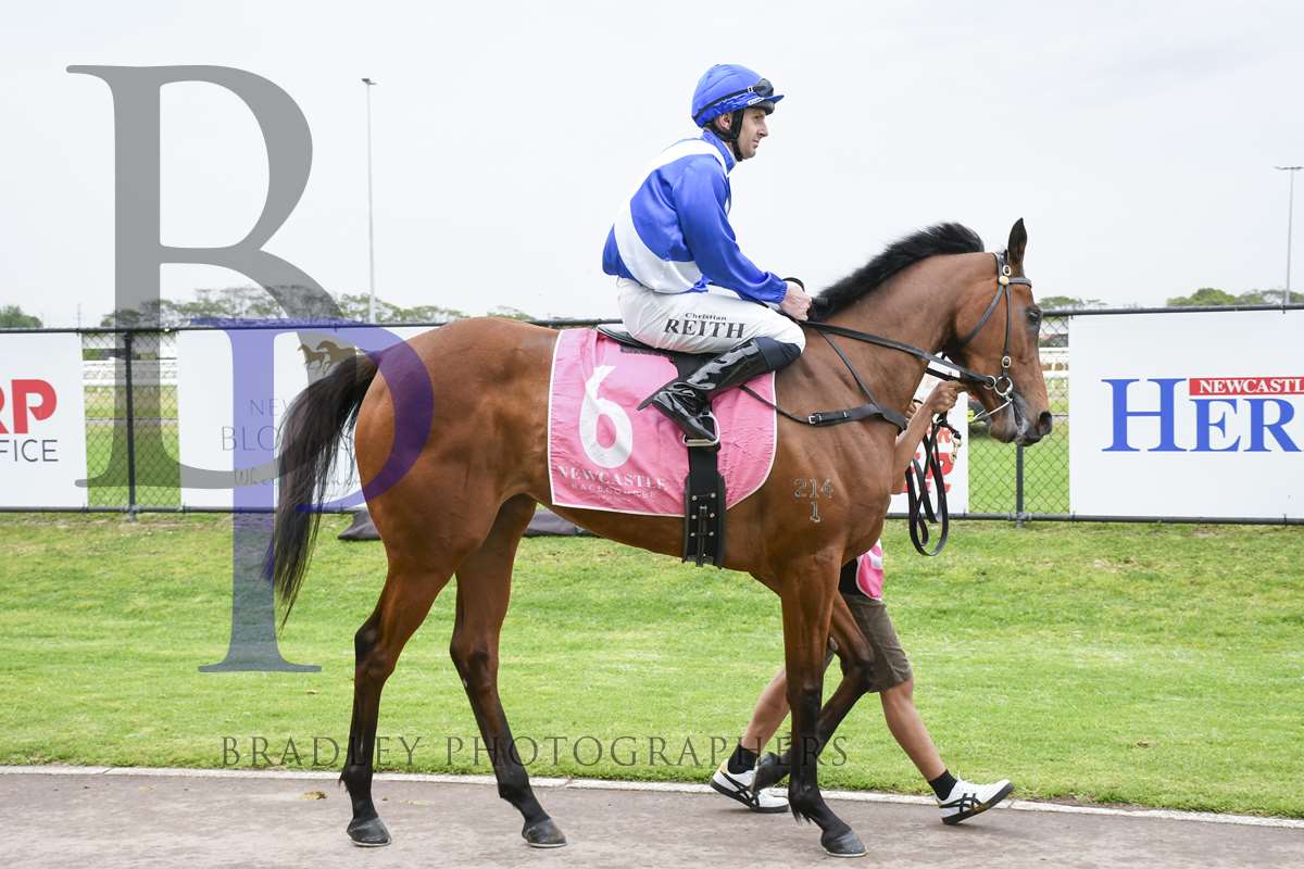 Minervini Racing (@minerviniracing) on Twitter photo FOCUS POINT (4m ex Optical NZ) is engaged <a href="/ManningClub/">Manning Valley Race Club</a> (Taree) on Friday. <a href="/Blanchy67153329/">Liam Blanch</a> partners the daughter of <a href="/coolmorestud/">Coolmore</a> JUSTIFY (USA) and the pair contest the <a href="/StacksLawFirm/">Stacks Law Firm</a> Maiden over 1400m <a href="/silverdale_farm/">Silverdale Farm</a> <a href="/BaramulStud/">Baramul Stud</a> <a href="/CoolmoreAus/">Coolmore Australia</a> <a href="/TomMagnier/">Tom Magnier Coolmore</a> <a href="/coolmoreamerica/">Coolmore America</a> FOCUS POINT (4m ex Optical NZ) is engaged <a href="/ManningClub/">Manning Valley Race Club</a> (Taree) on Friday. <a href="/Blanchy67153329/">Liam Blanch</a> partners the daughter of <a href="/coolmorestud/">Coolmore</a> JUSTIFY (USA) and the pair contest the <a href="/StacksLawFirm/">Stacks Law Firm</a> Maiden over 1400m <a href="/silverdale_farm/">Silverdale Farm</a> <a href="/BaramulStud/">Baramul Stud</a> <a href="/CoolmoreAus/">Coolmore Australia</a> <a href="/TomMagnier/">Tom Magnier Coolmore</a> <a href="/coolmoreamerica/">Coolmore America</a>