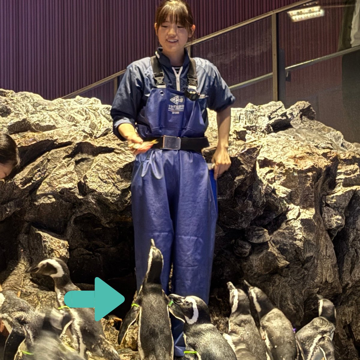 デンティス【公式】 (@dentiste_japan) / Posts / X