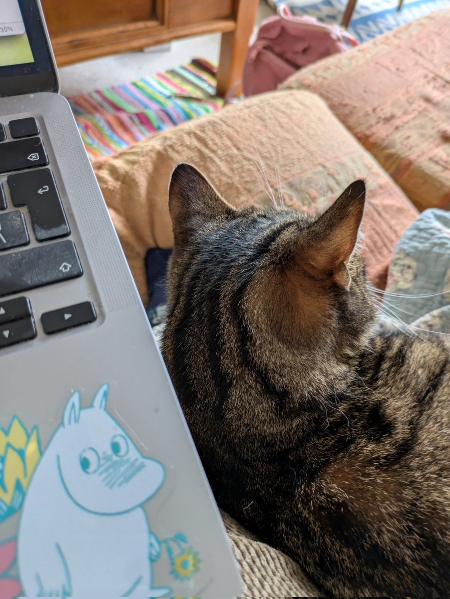 A companion to my marking.