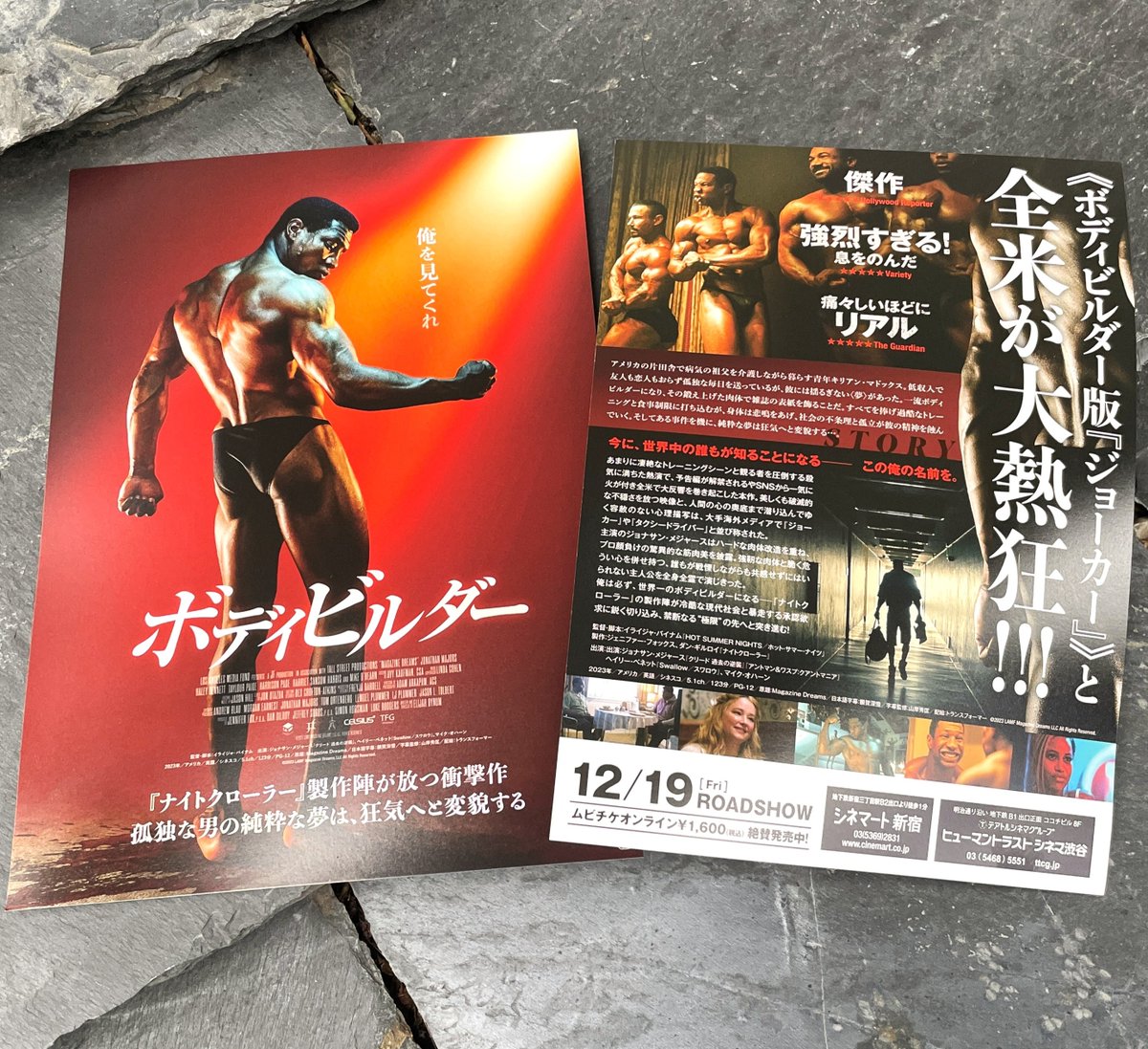 ⠀
💪映画『ボディビルダー』💪
━━━🔥チラシ完成🔥━━━

シネマート新宿、ヒューマントラストシネマ渋谷ほか上映劇場で順次設置予定です💪

📣ˎˊ˗
公式HPに劇場情報を追加しました！
ご自宅 or 行きつけのジムに近い
劇場を要チェック✅👇
transformer.co.jp/m/bodybuilder/

𝟏𝟐.𝟏𝟗 𝐑𝐎𝐀𝐃𝐒𝐇𝐎𝐖