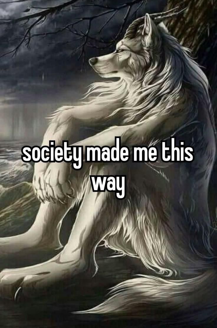 Aaj goodmorning tweet krne ka samay ni Mila anyways good afternoon.