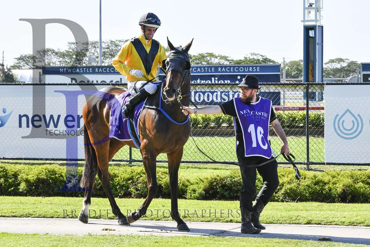 Minervini Racing (@minerviniracing) on Twitter photo THE BENTLEY (5g ex The Hamptons) is engaged <a href="/ManningClub/">Manning Valley Race Club</a> (Taree) on Friday. Luke Rolls partners the son of <a href="/coolmorestud/">Coolmore</a> EXCEED AND EXCEL in the <a href="/Cellarbrations/">Cellarbrations</a> Class 1 & Maiden over 2000m. <a href="/ZhongliTBreds/">Zhongli Thoroughbreds Pty Ltd</a> <a href="/WestburyStud/">Westbury Stud</a> <a href="/CoolmoreAus/">Coolmore Australia</a> <a href="/coolmoreamerica/">Coolmore America</a> <a href="/TomMagnier/">Tom Magnier Coolmore</a> THE BENTLEY (5g ex The Hamptons) is engaged <a href="/ManningClub/">Manning Valley Race Club</a> (Taree) on Friday. Luke Rolls partners the son of <a href="/coolmorestud/">Coolmore</a> EXCEED AND EXCEL in the <a href="/Cellarbrations/">Cellarbrations</a> Class 1 & Maiden over 2000m. <a href="/ZhongliTBreds/">Zhongli Thoroughbreds Pty Ltd</a> <a href="/WestburyStud/">Westbury Stud</a> <a href="/CoolmoreAus/">Coolmore Australia</a> <a href="/coolmoreamerica/">Coolmore America</a> <a href="/TomMagnier/">Tom Magnier Coolmore</a>