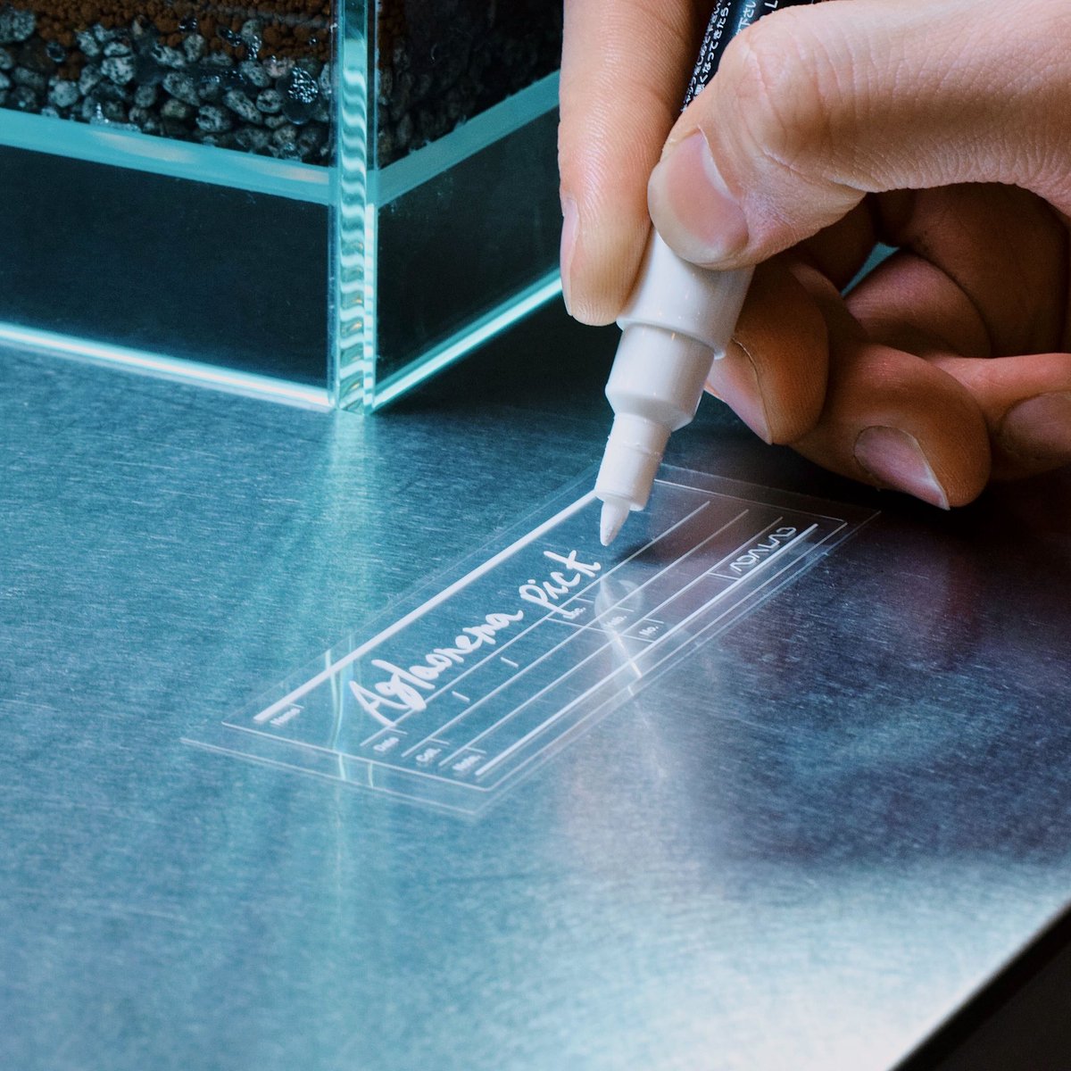 ada_lab_umeda's tweet image. ADA LAB PRODUCTS
: LABEL STICKER

ガラスポットなどのガラスケースに貼って使用するラベルステッカーです。
油性ホワイトマーカーで植栽した植物のデータを書き込むことにより、植物の入手情報を正確に管理できます。

#adalab #adalabumeda #ada