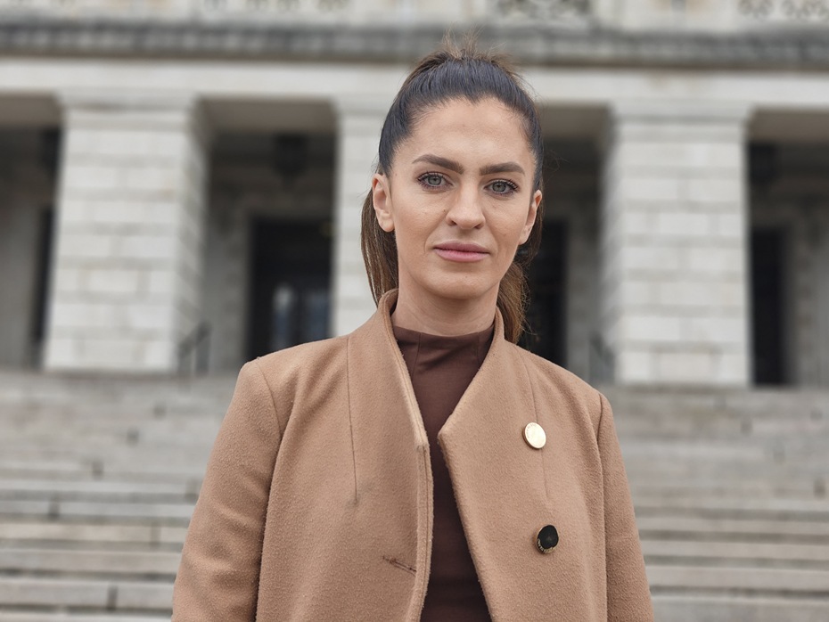 MLA Expresses Concern After First Asian Hornet Nest Discovered in the North #Newry newry.ie/articles/news/…